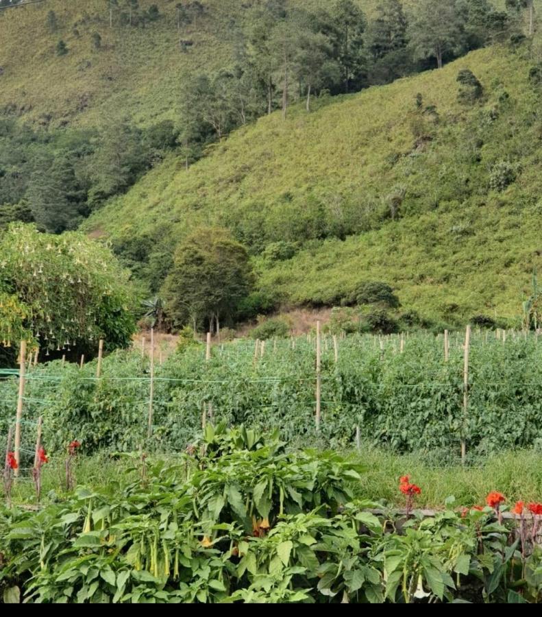 Villa Gunung Mas Berastagi Ngoại thất bức ảnh